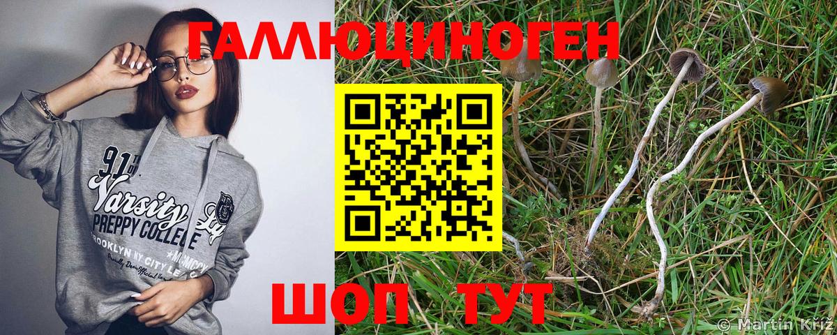 Галлюциногенные грибы MAGIC MUSHROOMS  Вход с VPN  Иваново  Псилоцибиновые грибы мухоморы 