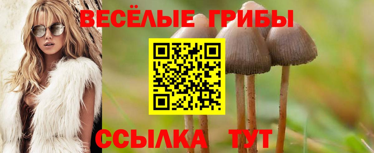 Псилоцибиновые грибы ЛСД Иваново